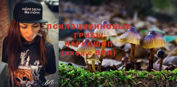 шишки Алексеевка