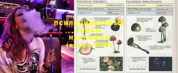 шишки Алексеевка