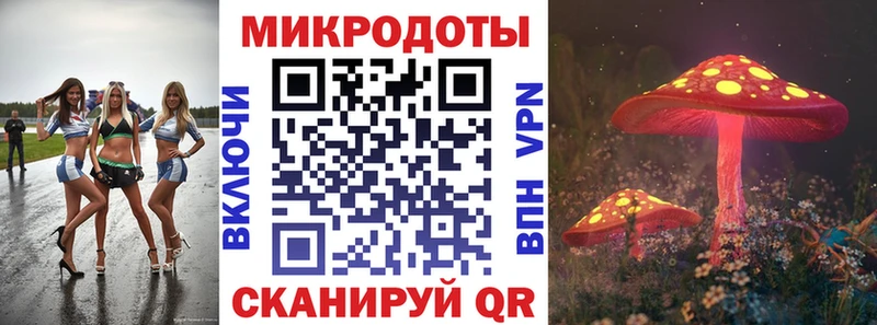 KRAKEN как зайти Карабаш Псилоцибиновые грибы прущие грибы цена